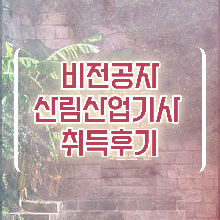  산림산업기사취업 산림산업기사 시험응시조건 온라인 과정으로 4달 안에 완료한 후기