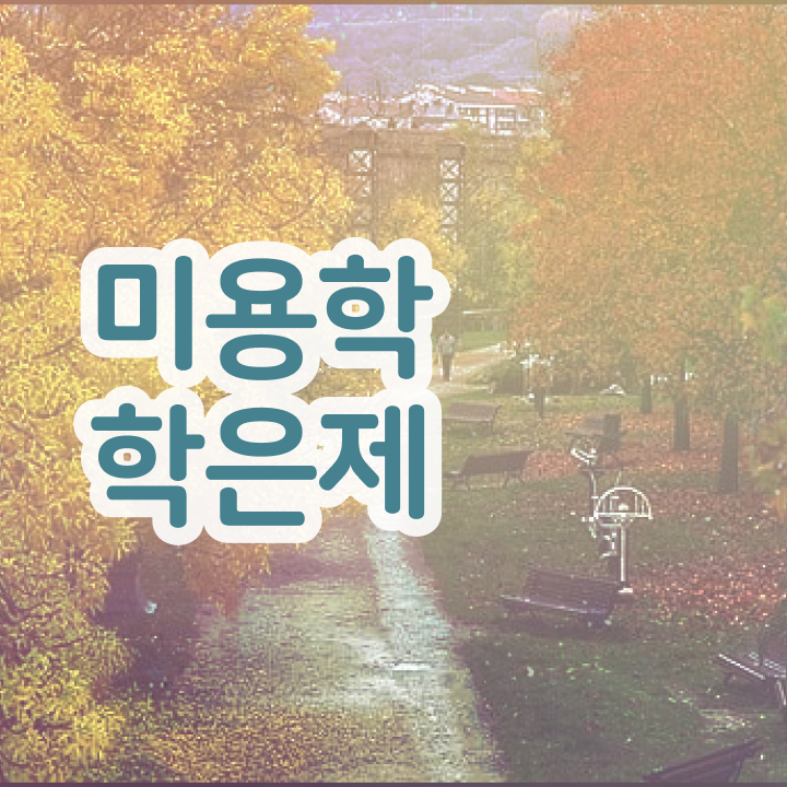  미용사 자격증 후기 과정 건너뛰고 , 미용사자격증 준비할 수 있었어요