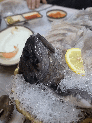 밀양 아가미가 벌름벌름하는 살아있는 회 금강횟집의 신선한 회 맛보기 밀양 아가미가 벌름벌름하는 살아있는 회 금강횟집의 신선한 회 맛보기