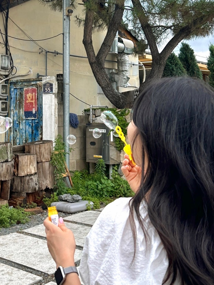  24.07ㅣ경주 나들이 그냥 먹방, 7월 둘째 주 일상