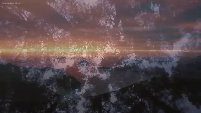  도로교통사고감정사 , 자격증 준비 과정