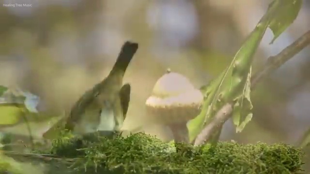  도로교통사고감정사 , 자격증 학습방법