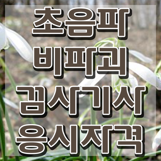  초음파비파괴검사기사 시험과목 초음파비파괴검사기사 자격요건 독학으로 1학기 만에 끝낸 팁