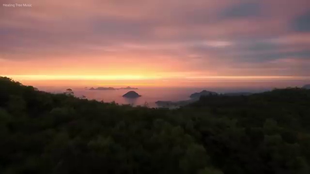  도로교통 감정사 , 자격증 합격 전략