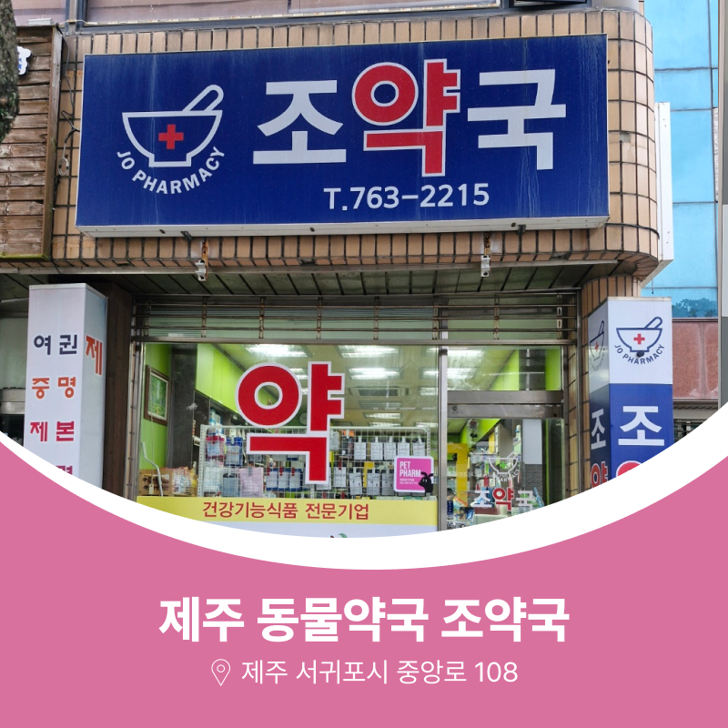 조약국 사진 1