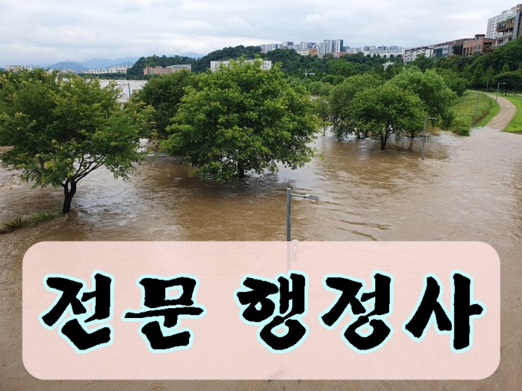  안양 행정사 음주운전 행정심판 면허 구제 취소 정지 기간 줄이기 전문 사무소