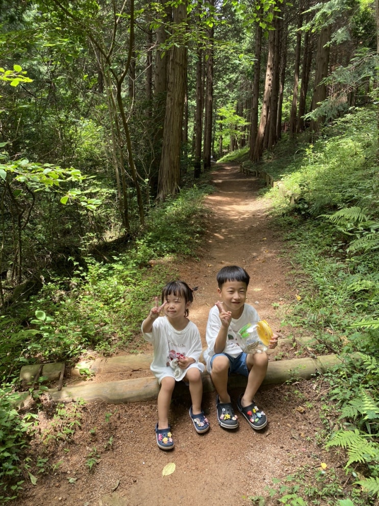 여수여행 1일차, 2일차)봉황산자연휴양림, 디아크리조트, 고기맛집 남도고집, 녹테마레