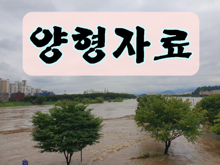  전국 음주운전 양형자료 선처와 감경을 바란다면 전문 행정사의 조력을 받아