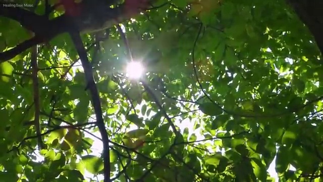  gv80장기렌트가격 리스 , 최적의 견적 이용해보세요.