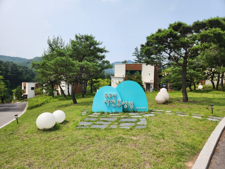  20240713 동두천자연휴양림 휴양관 204호