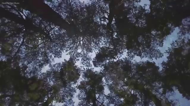  교통사고감정사 , 자격증 주목받는 이유