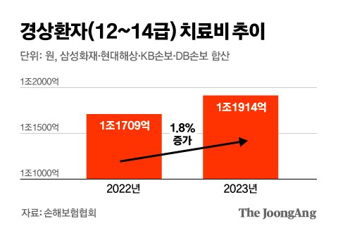 '나이롱 방지법' 이후 나이롱 보험금 더 늘었다, 무슨 일 '나이롱 방지법' 이후 나이롱 보험금 더 늘었다, 무슨 일