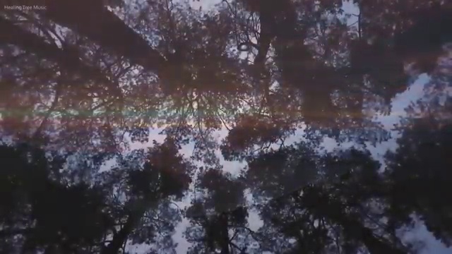  교통사고감정사 , 최단기간 준비한 방법