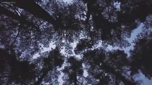  산림 기사필기 산림기사 응시조건 온라인 수업으로 15주만에 성공한 비법