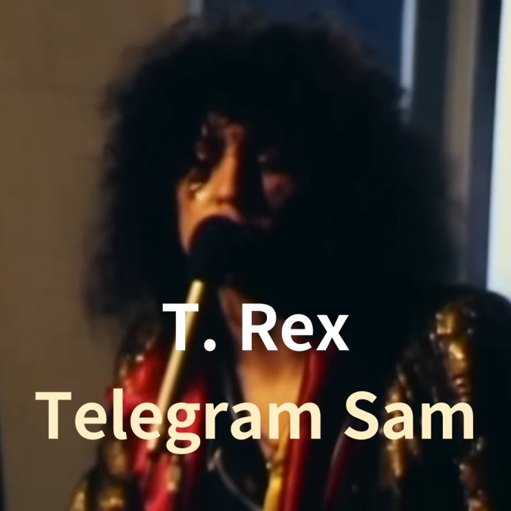  T. Rex : Telegram Sam [가사/해석]