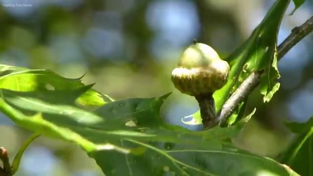  도로교통감정사 , 자격증 학습방법