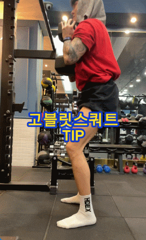  고블릿스쿼트에 대해 알아보자![트렌드핏대연점/대연동PT/경성대PT]