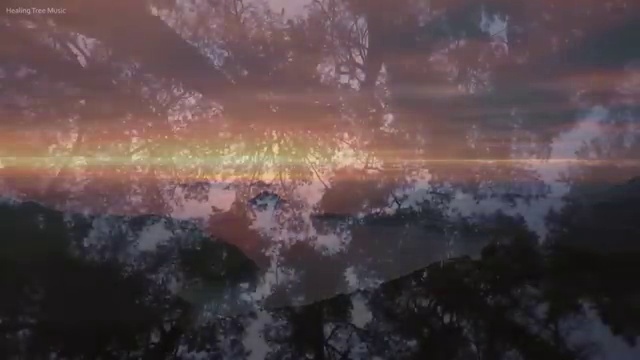  도로교통사고감정사 , 자격증 취득 후 전망