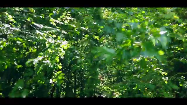  도로교통 감정사 , 자격증 주목받는 이유