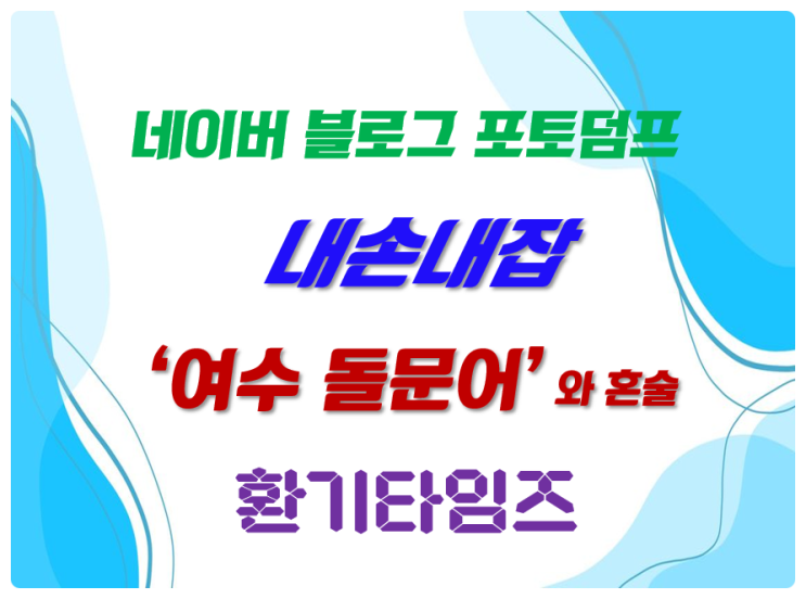 『네이버 블로그 포토 덤프』 돌문어 삶는법, 문어숙회와의 혼술_환기타임즈 『네이버 블로그 포토 덤프』 돌문어 삶는법, 문어숙회와의 혼술_환기타임즈