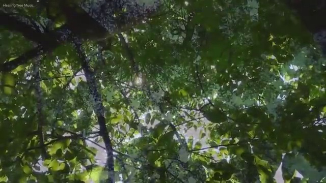  교통사고 감정사 , 자격증 인기있는 이유