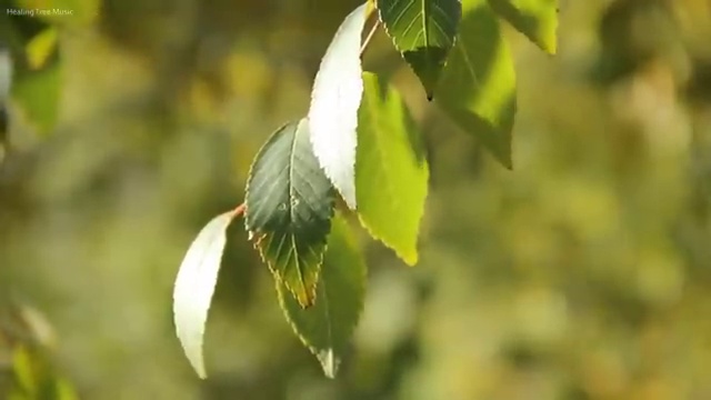  도로교통감정사 , 편하게 준비한 전략