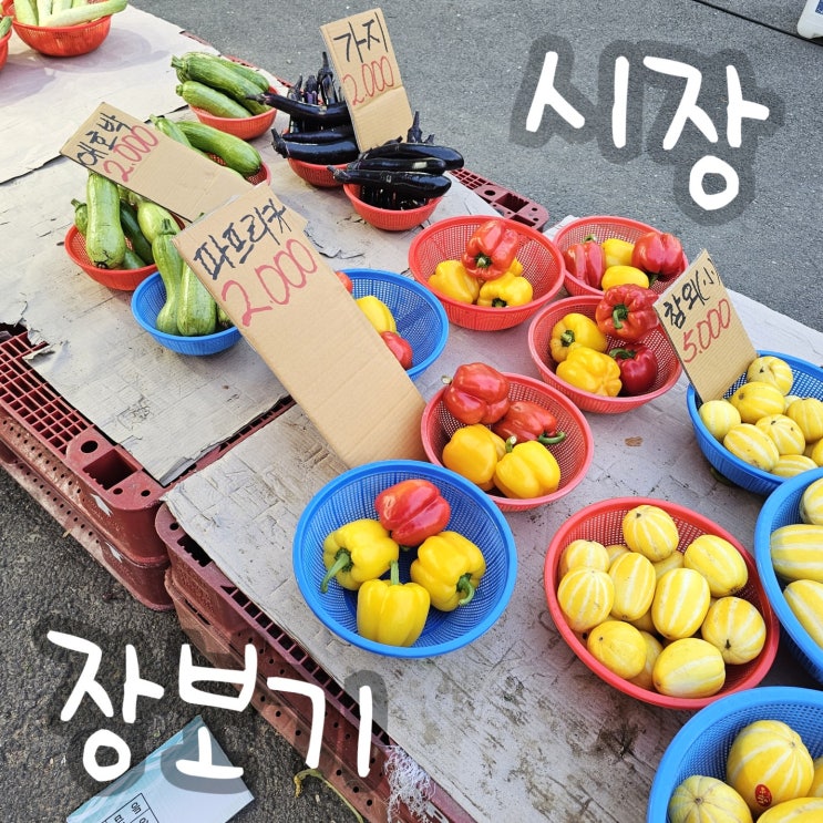  시장 장보기 요즘 먹고 사는 음식 - 블로그 챌린지 일상 포토덤프