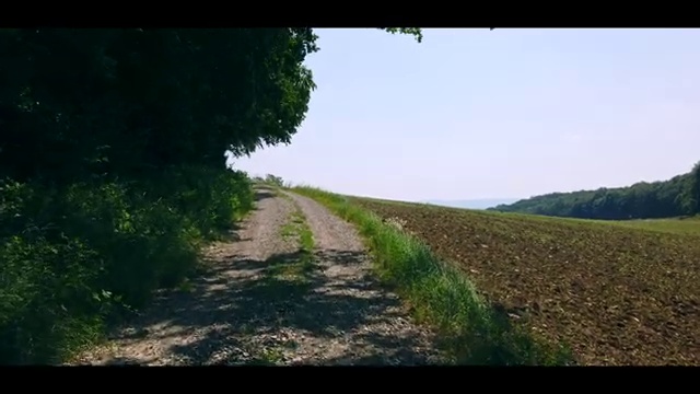  교통사고 분석사 , 자격증 취득방법