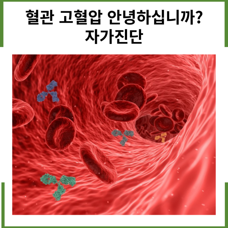  혈관 고혈압 자가진단