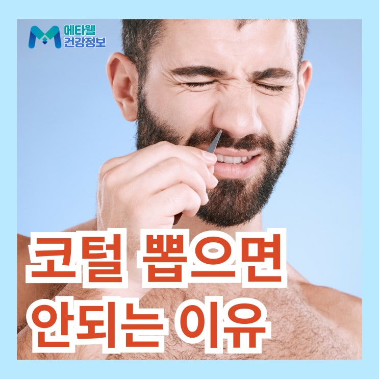  코털 뽑기 멈춰! 코털 뽑으면 안되는 이유, 제거 방법
