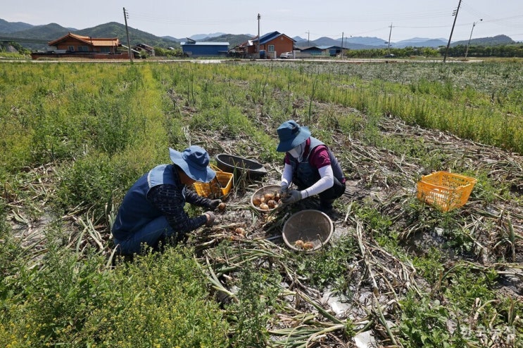 “손해사정사 보조인의 손해평가, 명백한 위법” “손해사정사 보조인의 손해평가, 명백한 위법”