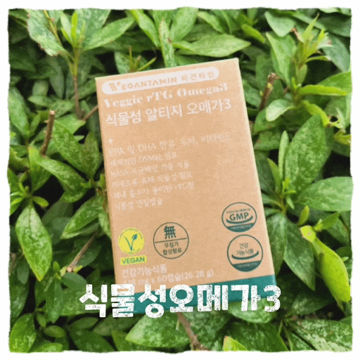  알티지 오메가3 먹는시간 권장량 효능 식물성오메가3 후기