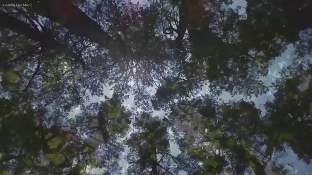  교통사고감정사 , 자격증 합격한 후기