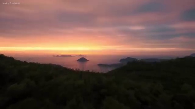  도로교통감정사 , 자격증 학습방법