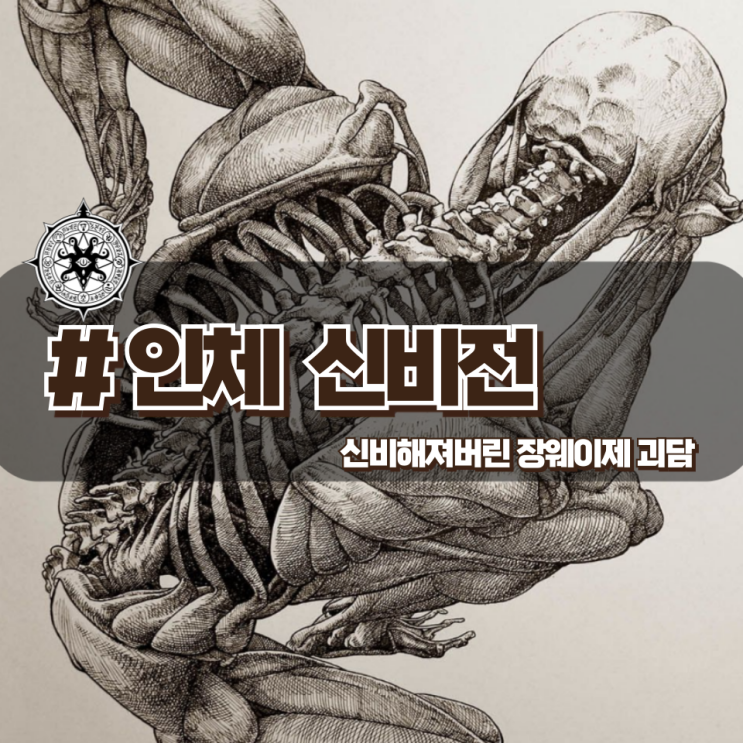 「인체 신비전」 한국에서도 전시되어 논란되었던 실제 시체표본 전시회 (장웨이제 괴담 포함) 「인체 신비전」 한국에서도 전시되어 논란되었던 실제 시체표본 전시회 (장웨이제 괴담 포함)