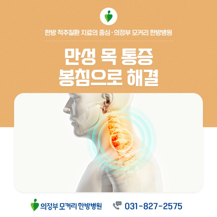  만성 목 통증을 겪고 계신다면 봉침으로 치료하세요.