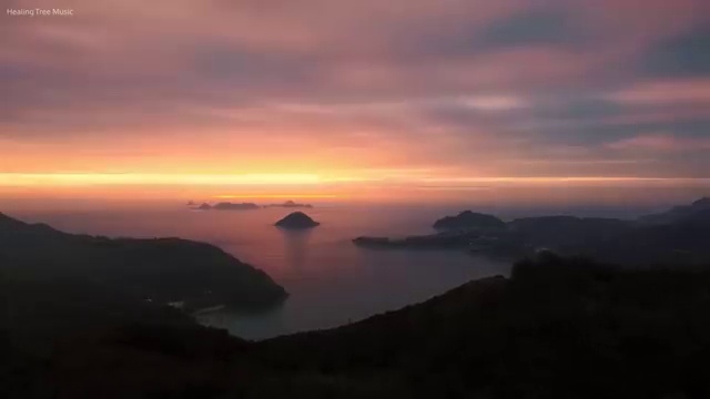  교통사고감정사 , 자격증 준비한 방법