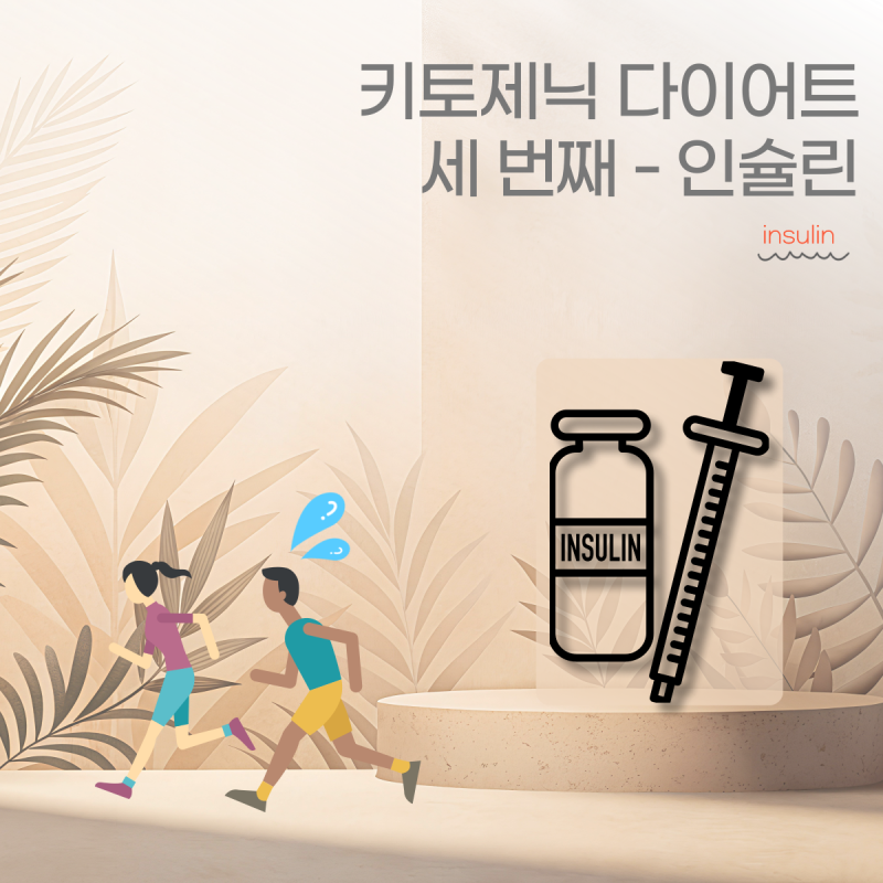 키토제닉 다이어트(Ketogenic diet) 세번째 이야기 인슐린(insulin) 관계