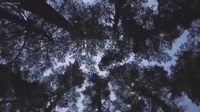  제네시스 GV80 장기렌트 렌트 , 진짜 효율적인 절세 방법 초기 비용 없이 주목해보세요 .