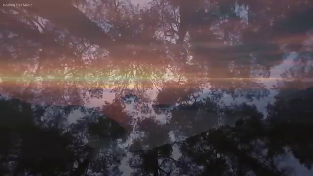  교통사고 감정사 , 자격증 합격 전략