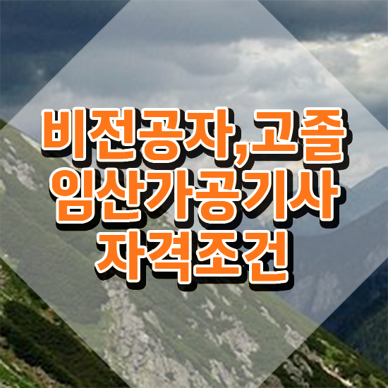  임산가공기사 응시조건 집에서 온라인으로 4달 안에 완료한 과정