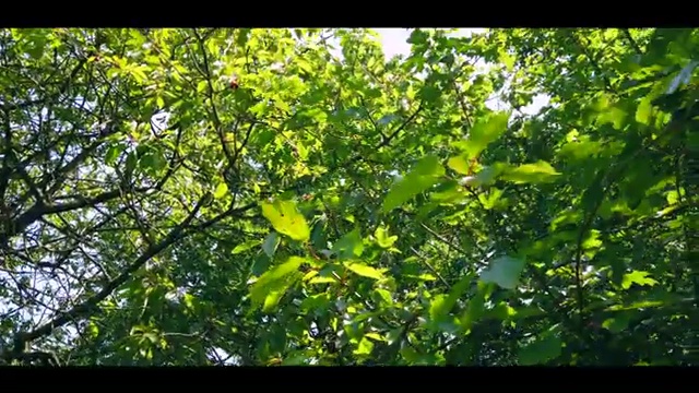  교통사고분석사 , 편하게 준비하는 후기