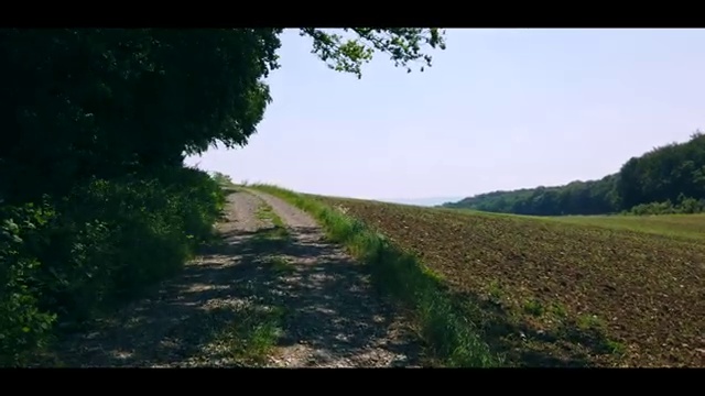  도로교통 감정사 , 자격증 합격한 후기