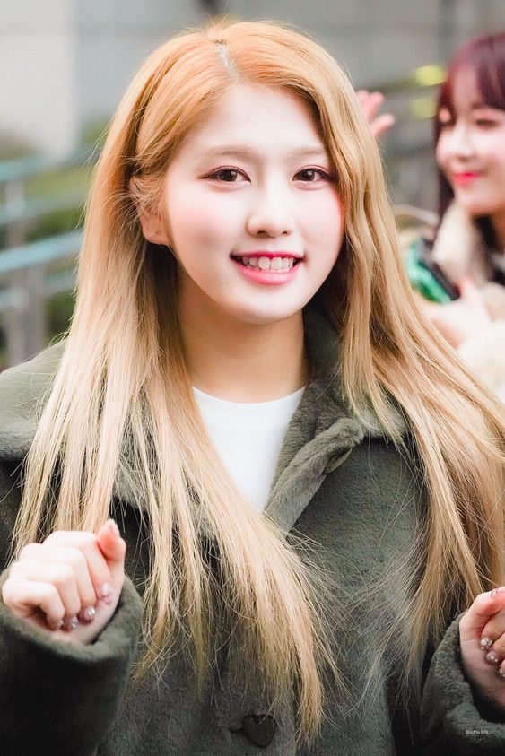  걸그룹 네이처 하루, 日 유흥업소 근무 사과..."그만뒀다 걱정 실망 시켜 죄송"