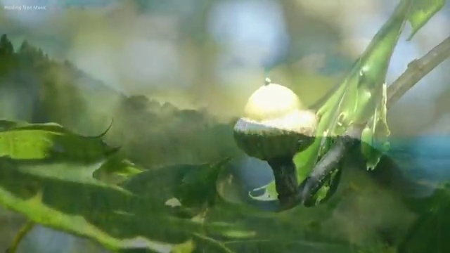  도로교통사고감정사 , 자격증 학습방법