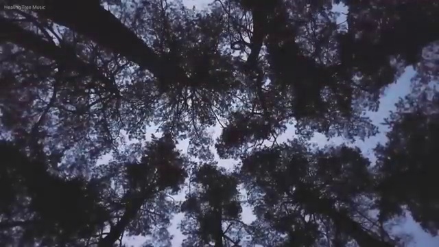 교통사고감정사 , 자격증 취득 정보