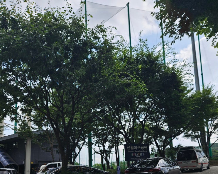 <b>한일</b> <b>드림 플레이어스</b> 한국 야구대표팀vs KBO 출신 사회인... 