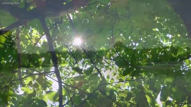  도로교통 감정사 , 자격증 인기있는 이유