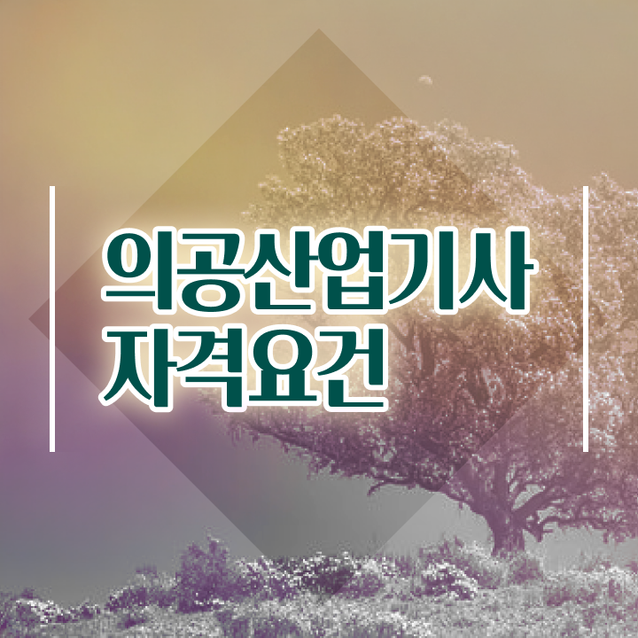  의공산업기사 응시조건 집에서 온라인으로 5달만에 완료한 전략