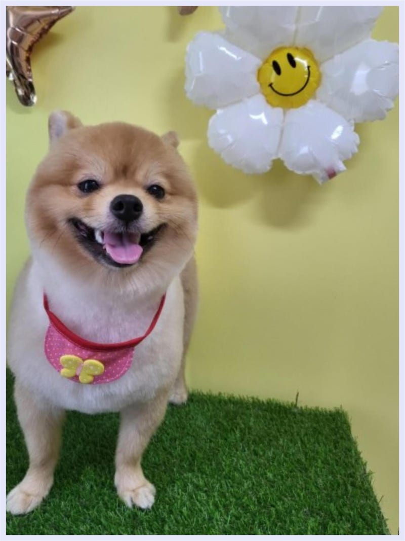 사진 3